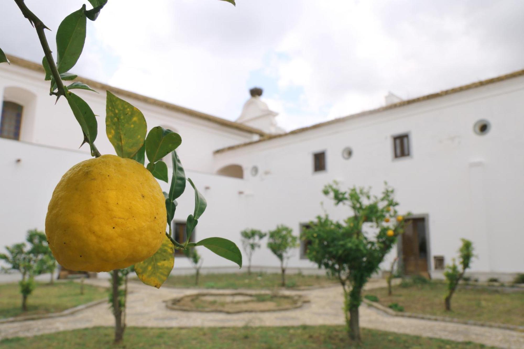 Maison d'hôtes Convento Da Orada - Monsaraz Extérieur photo